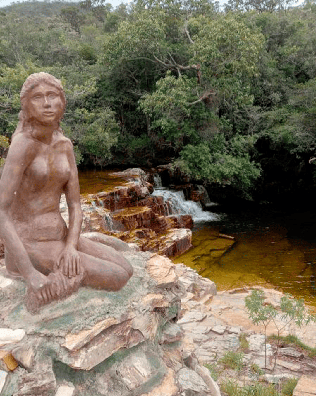 3439b9f5-e557-4797-916f-eb686b5aaad6-768x576